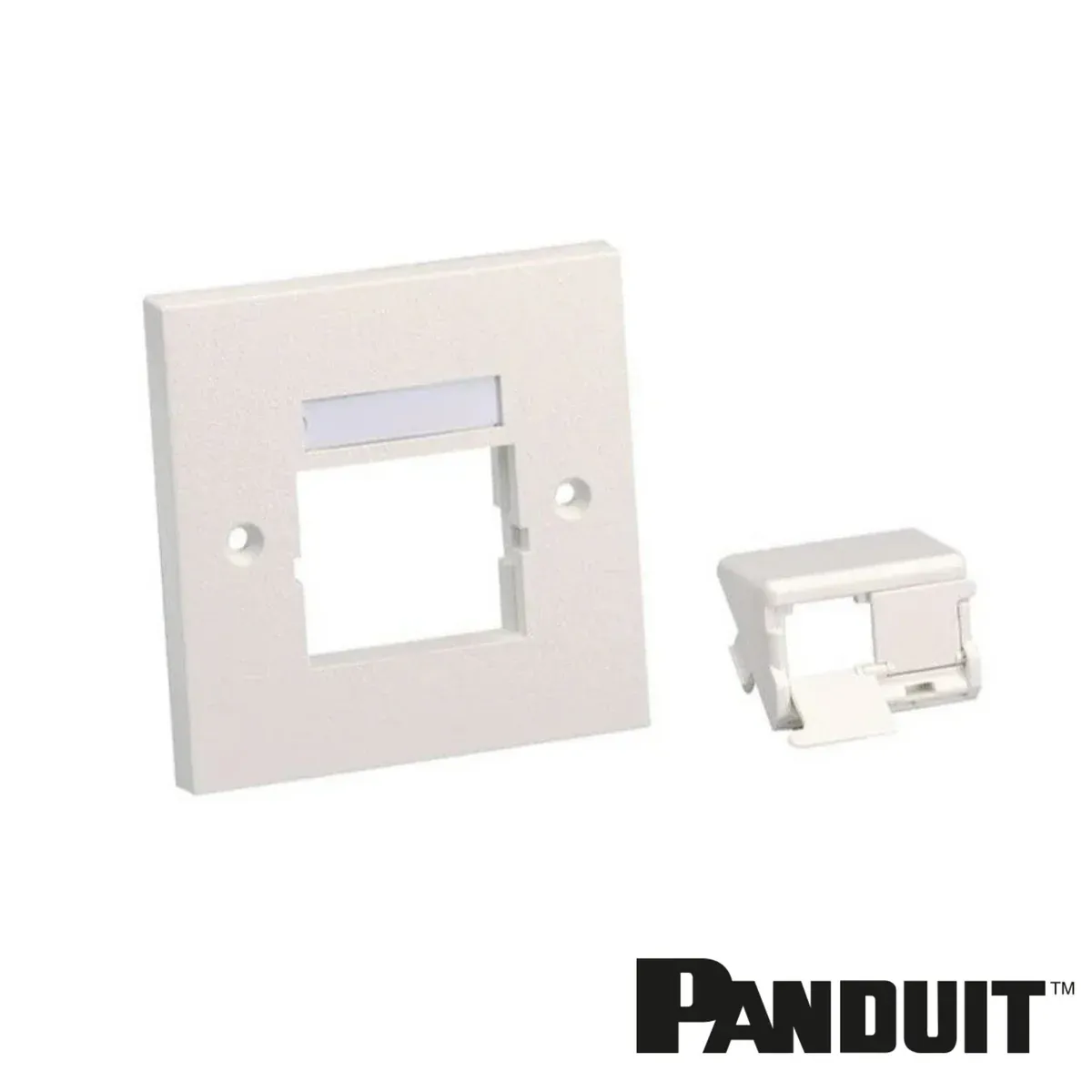 Panduit Mini-Com Faceplate Frame, 2 Port, Arctic White